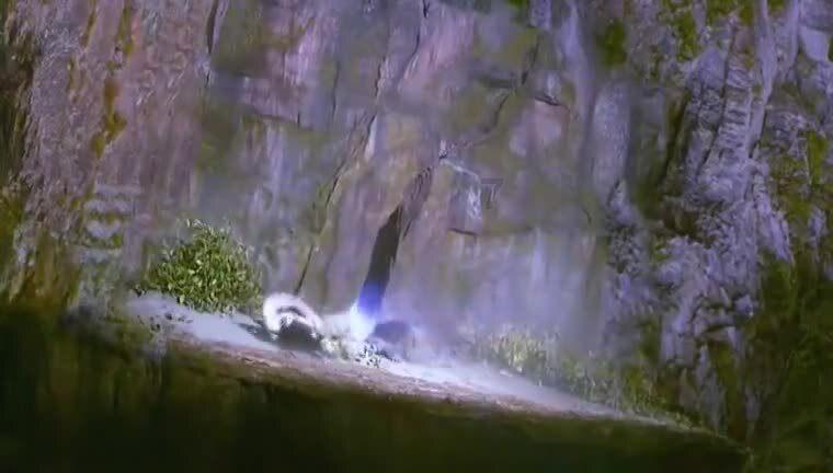 为什么马犬不合适家养
